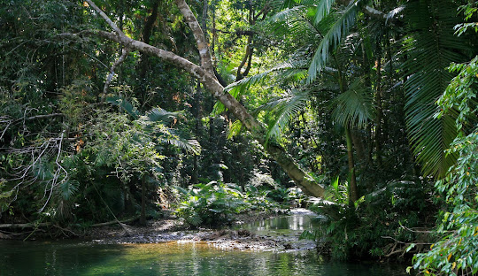 The Rich and Complex History of Queensland: From Indigenous Roots to European Settlement